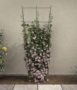 lot 253 image: 72 in. H Ivy Green Metal Trellis