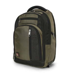 lot 20891 image: SwissTech Urban Trek 18  Travel Backpack with USB Port  Unisex   Adult ages Green (Walmart Exclusive)