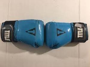 lot 20890 image: Title Turquoise Boxing Gloves