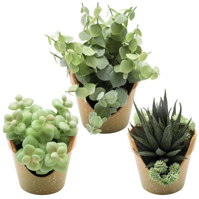 lot 23811 image: SENCID 3 Pack Artificial Succulent Plants, Small Potted Fake Plants, Artificial Eucalyptus Leaf Aloe Vera Plants, for Home Decor, Farmhouse Bathroom Office Decor - Retail $10