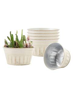 lot 19702 image: vensovo 8 Inches Beige Metal Rustic Plant Pots - 6Pcs Shallow Galvanized Planters with Drain Hole and Rubber Plug, Rustproof Tin Bucket Succulent Pot Indoor Farmhouse Vintage Style for Decor