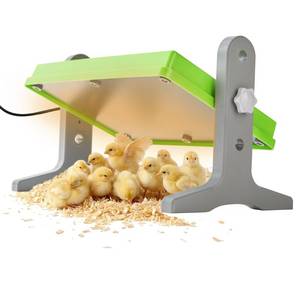 lot 9318 image: Fuzzy Bird Chick Brooder (128) Brooder Heater for Chicks Ducks and Birds Incubation Heating Keep Chicks Warm Newly Upgraded Temperature Adjustable Height Adjustable Chick Heating Plate - Green - Retail $26