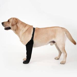 lot 43292 image: yrenoer Dog Recovery Socks - Waterproof Paw Protectors with Non-Slip Sole  Post-Surgery Boots for Wound Protection  Anti-Licking Sleeves for Dogs (Black, XL_Left) - Retail $32