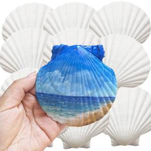 lot 43294 image: JOTNGDJBN 10PCS Large Natural Scallop Shells, 4-5 Inch White Sea Shells for Crafts, DIY Painting, Baking Decor, Beach Wedding & Home Decor - Retail $13