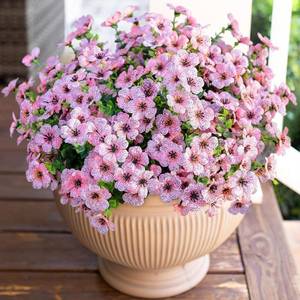 lot 17088 image: HyeFlora Artificial Flowers for Outdoor Indoor Garden Home Decoration, Faux Flower Daisy with Eucalyptus Leaves Fake Plants Greenery Boxwood Porch Patio, 12 Bundles (Pink)