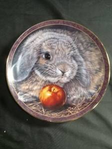 lot 50474 image: Bradford Exchange Apple Dumplin Bunny Tales Collector Plate by Vivi Crandall