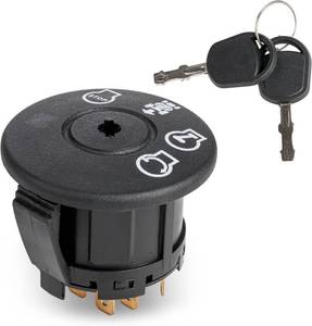 lot 36 image: BlueStars 532193350 Ignition Switch, 2 Keys, 4