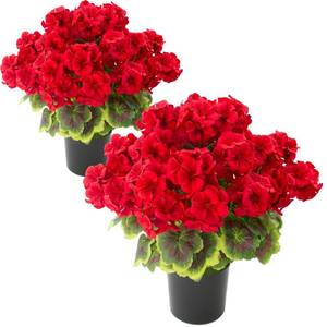 lot 8574 image: lovemoon 2 Pcs Geranium Potted Artificial Flowers, 19 Fake Geraniums Plants UV Resistant Silk Potted Plants for Outdoor Home D�cor Office Porch Garden Decor (2, Red)