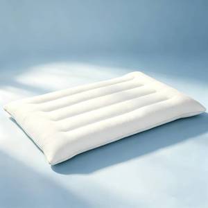 lot 923 image: SWTMERRY Ultra Thin Flat Pillow, 18x26 in, 2.5 in height
