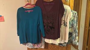 lot 1411 image: Womens Mixed Brand Tops Lot of 5 - Chicos, Rock & Republic, and More XL XXL