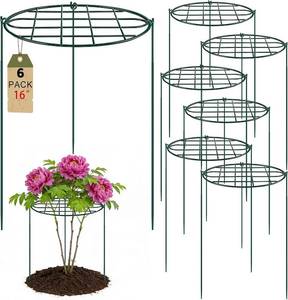 lot 131372 image: 6 Pack 16 x 24 inch Peony Cages and Supports,Metal Grow Through Plant Supports for Outdoor Plants,Flowers Support Rings Top-Heavy Plant Brace Support Hoop for Vegetables,Rose,Tomato,Orchids