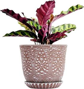 lot 261537 image: Gepege 8 Inch Plant Pot for Plants, Ceramic Planter with Drainage Holes and Saucers for Indoor Plants Large Flower Pot