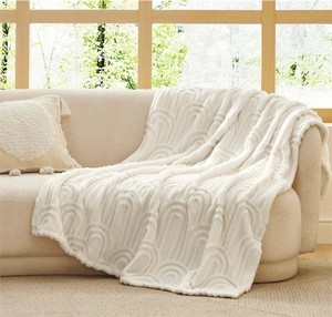lot 271380 image: Arch Shaggy Sherpa Fleece Blanket