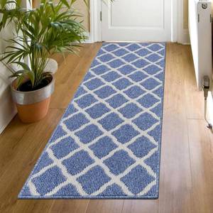 lot 19973 image: SHACOS Entryway Runner Rugs 20x59 Dirt Trapper Kitchen Runner Rug Washable Rug Runner Non Slip Rubber Backing Hallway Runner Rug Floor Mats, Light Blue