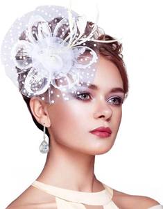 lot 19408 image: Stegosaurus Fascinators for Women, Tea Party Hats for Women Womens Fascinator HeadbandHair Clip for Wedding Cocktail