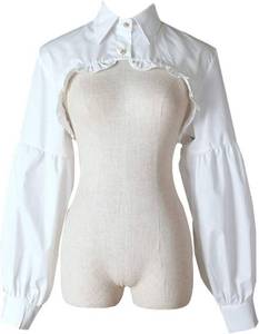 lot 20204 image: Elegtiskas Detachable Dickey Blouse False Collar Half Shirt Blouse Collar Crop Top SIZE UNKNOWN