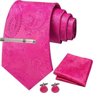 lot 20300 image: JEMYGINS Paisley Tie Necktie and Pocket Square with Clip and Cufflinks Set for Men