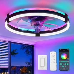 lot 20328 image: ZMISHIBO RGB Ceiling Fans with Lights and Remote, 20 inch Low Profile Ceiling Fan with Light, 3000K-6000K Dimmable & RGB, Modern Fandelier Flush Mount Ceiling Fan, Small LED Fan for Bedroom