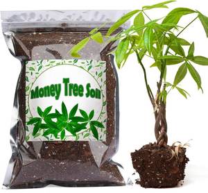 lot 21006 image: Doter Organic Money Tree Soil Mix 1qt, Indoor Plants Potting Mix for All Potted Money Tree, Grow Healthy houseplants Indoors