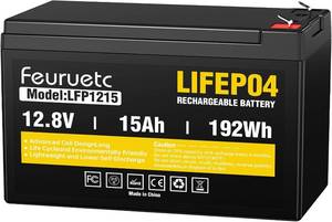lot 20417 image: 12V 15Ah Deep Cycle LiFePO4 Battery, 3000 Cycles, Maintenance-Free Battery for Fish Finder, Scooter, Security System, Solar System, UPS etc Rechargeable Lithium Iron Phosphate