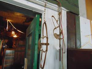 lot 3362 image: Pair of Victor Double Spring Traps