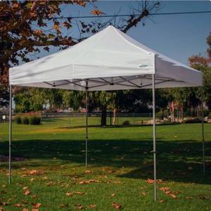 lot 20688 image: Hybrid X 10x10 Pop-Up Canopy Tent  - Retail $165