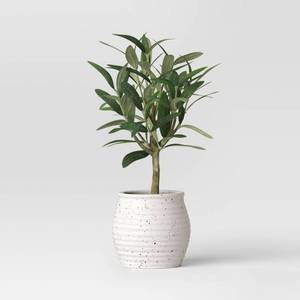 lot 1010 image: 12 Small Artificial Potted Olive - Threshold designed with Studio McGee - Retail $22