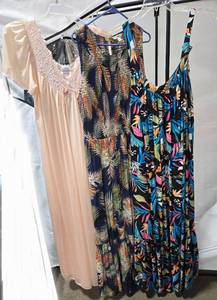 lot 570 image: 2 Womens Summer Dresses size 1X and 1 N0ightgown