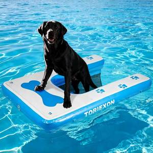 $145 Inflatable Dog Boat Ramp 60x40, Pool Ramp, 230 lb, Non-Slip