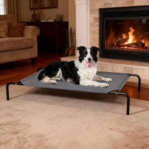lot 7464 image: STARLATTA Elevated Cooling Dog Bed, 50.8 x 31 x 8, Grey