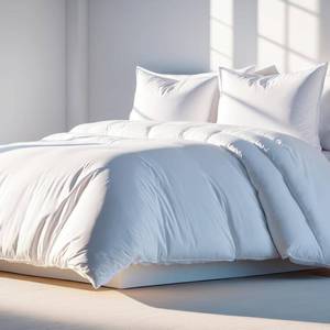 lot 5138 image: White Classic White Queen Duvet Cover Set, Microfiber Duvet Cover with Zipper, Duvet Cover Set of 1 Down Comforter Cover with 2 Pillow Shams, Luxury Comforter Cover Queen Size  Comforter Not Included