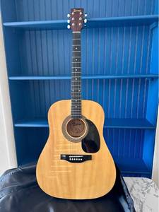 Lauren Acoustic Guitar