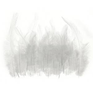 lot 43353 image: PATIKIL 3-6 Inch Saddle Hackle Rooster Feather, 50 Pcs Bulk Natural Feathers Fluffy Craft Feathers for Dream Catcher Earrings Pendant, White - Retail $7