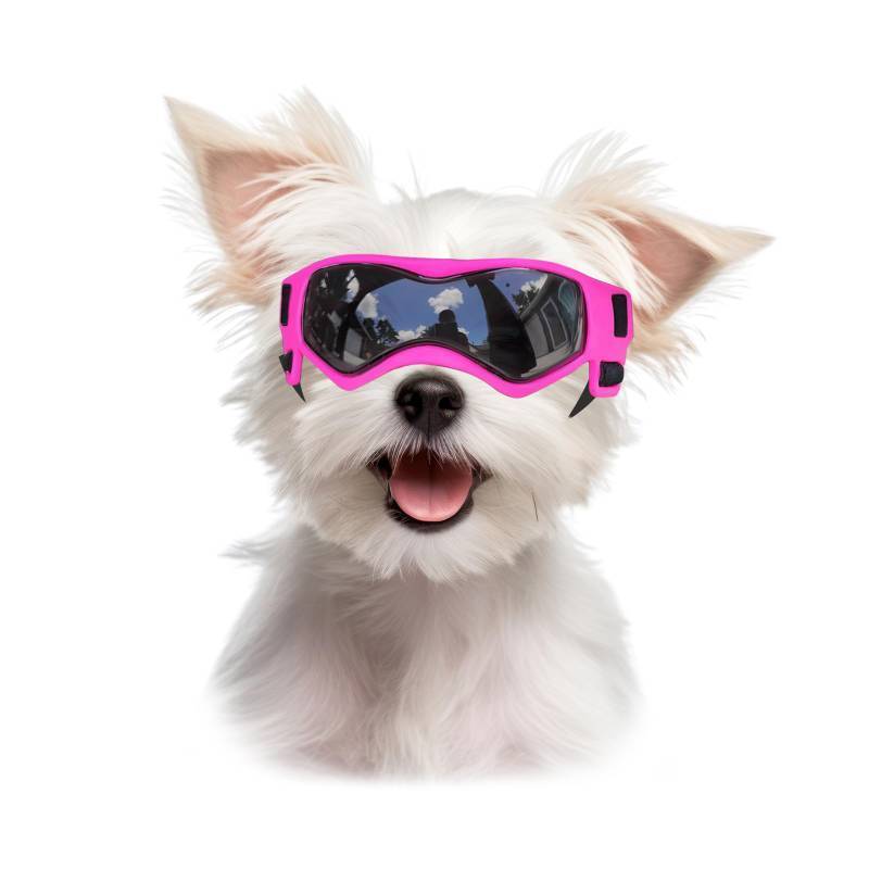 lot 43110 image: Billionchains Dog Goggles Dog Sunglasses for Small Breed UV Protection Windproof with Adjustable Head Straps Chin Straps for Ride CarHiking TravelOn Beach-Pink - Retail $10