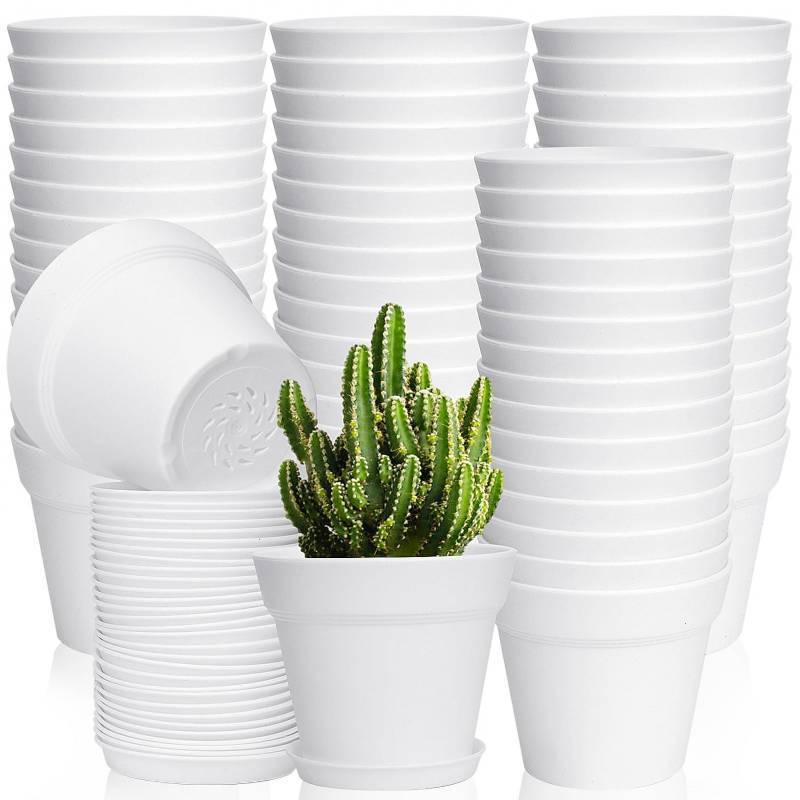 lot 24586 image: June Fox 60 Pack Small Plant Pots Indoor 4 Inch Plastic Planter with Drainage Holes and Saucers Premium Decorative White Plant Pot for Succulent, African Violets, Flowers, Plants - Retail $30