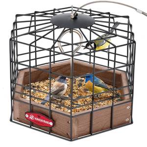 lot 18601 image: Kingsyard Squirrel Proof Platform Bird Feeders for Outdoor Hanging, 10 Wide Metal Caged Bird Feeder for Small Wildbirds Finches, Recycled Plastic Feeding Platform with Metal Seed Tray, Brown - Retail $30