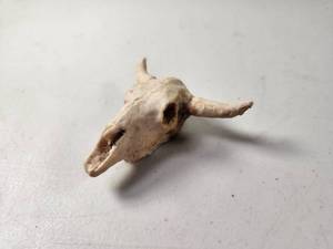 lot 91 image: Miniature Longhorn Bull Skull Figurine