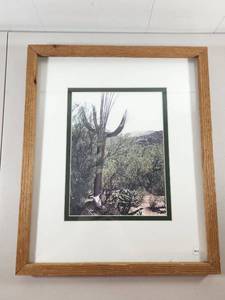 lot 111 image: Framed Desert Saguaro Cactus Landscape Photography Print