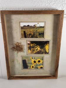 lot 112 image: Sunflower Nature Photography Shadow Box Wall Art