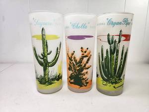 lot 223 image: Arizona Cactus Frosted Glass Tumbler Set of 3