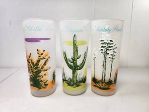 lot 224 image: Arizona Desert Cactus Frosted Glass Tumbler Set