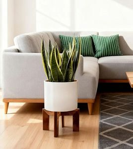 lot 37976 image: Plant Stand Indoor, Large Wooden Plant Stands, Plant Risers for Inside Pots, Flower Stand Holder, Fit Most Size Flower Pots In Room - Retail $12