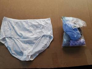 lot 38054 image: Womens Cotton Brief Underwear Multi-Pack size 10 - Retail $8