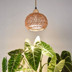 lot 7706 image: Bstrip Hanging Grow Lights for Indoor Plants, 18W Full Spectrum Plant Light with 4H9H14H Timer 15.9 FT Power Cord & Boho Rattan Shade, 3800K Hanging Lights for Indoor Plant, Tall Plant, Flowers