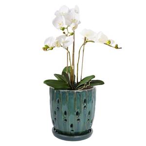 lot 9062 image: vensovo 6 Inch Ceramic Orchid Pot - Orchid Pot with Holes for Repotting, Ceramic Planter with Saucer for IndoorOutdoor Plants, Green
