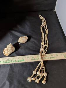 lot 139 image: Natural Seashell Necklace and Loose Shells Set