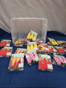 lot 2366 image: Gladiolus Bulb Collection - Large Mixed Lot Grown in Holland