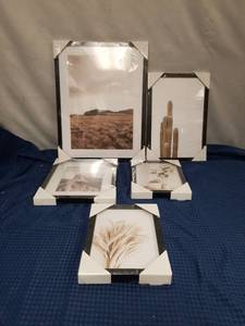 lot 2511 image: Boho Nature Wall Art Prints Set of 5 in Black Frames