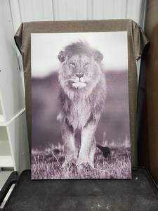 lot 1505 image: Black and White Lion Canvas Wall Art