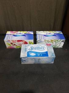 lot 1576 image: Facial Tissue Box Bundle - Willow & Scotties (3 Boxes)
